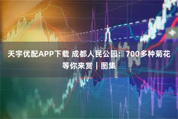 天宇优配APP下载 成都人民公园：700多种菊花等你来赏｜图集