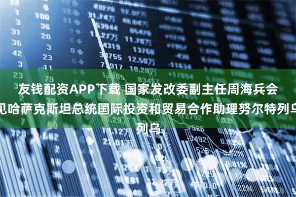友钱配资APP下载 国家发改委副主任周海兵会见哈萨克斯坦总统国际投资和贸易合作助理努尔特列乌