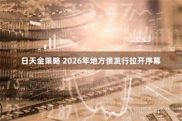 日天金策略 2026年地方债发行拉开序幕