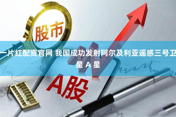 一片红配资官网 我国成功发射阿尔及利亚遥感三号卫星 A 星