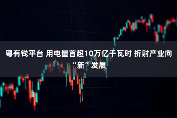 粤有钱平台 用电量首超10万亿千瓦时 折射产业向“新”发展
